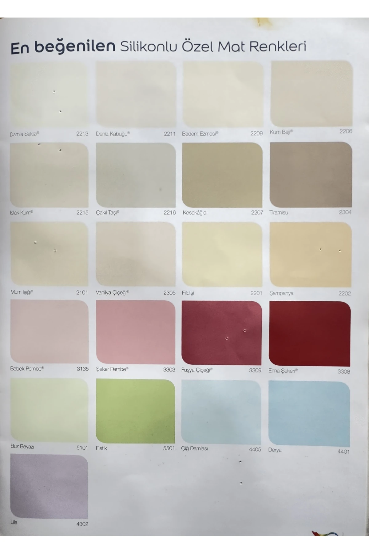 Silikonlu Özel Mat Boya (SOMON)