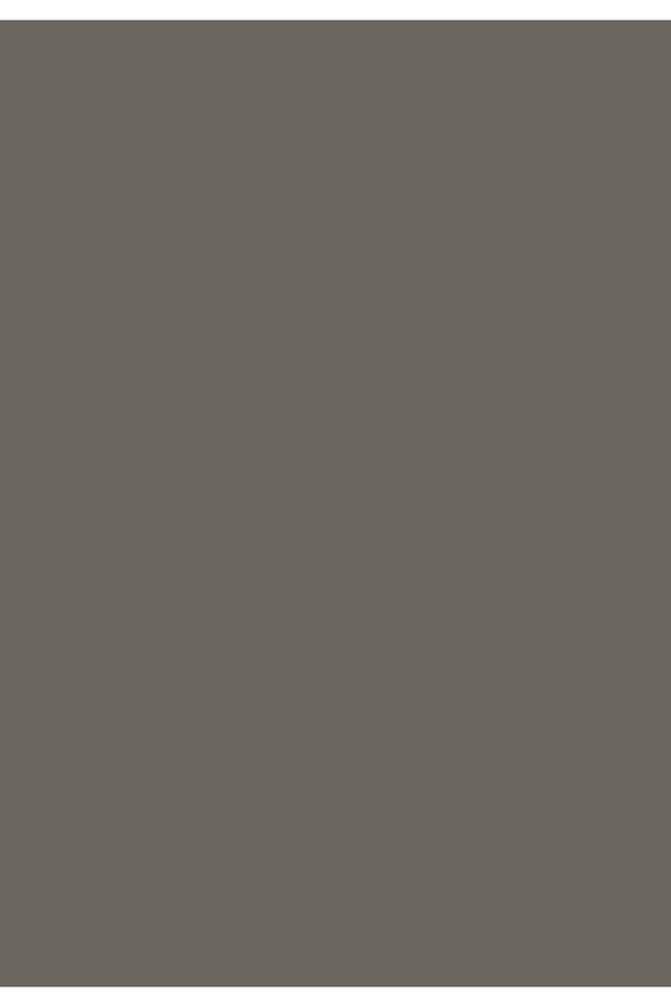 Aqua Pro RAL 7039 Quarzgrau Metal Boyası 2,25 LT