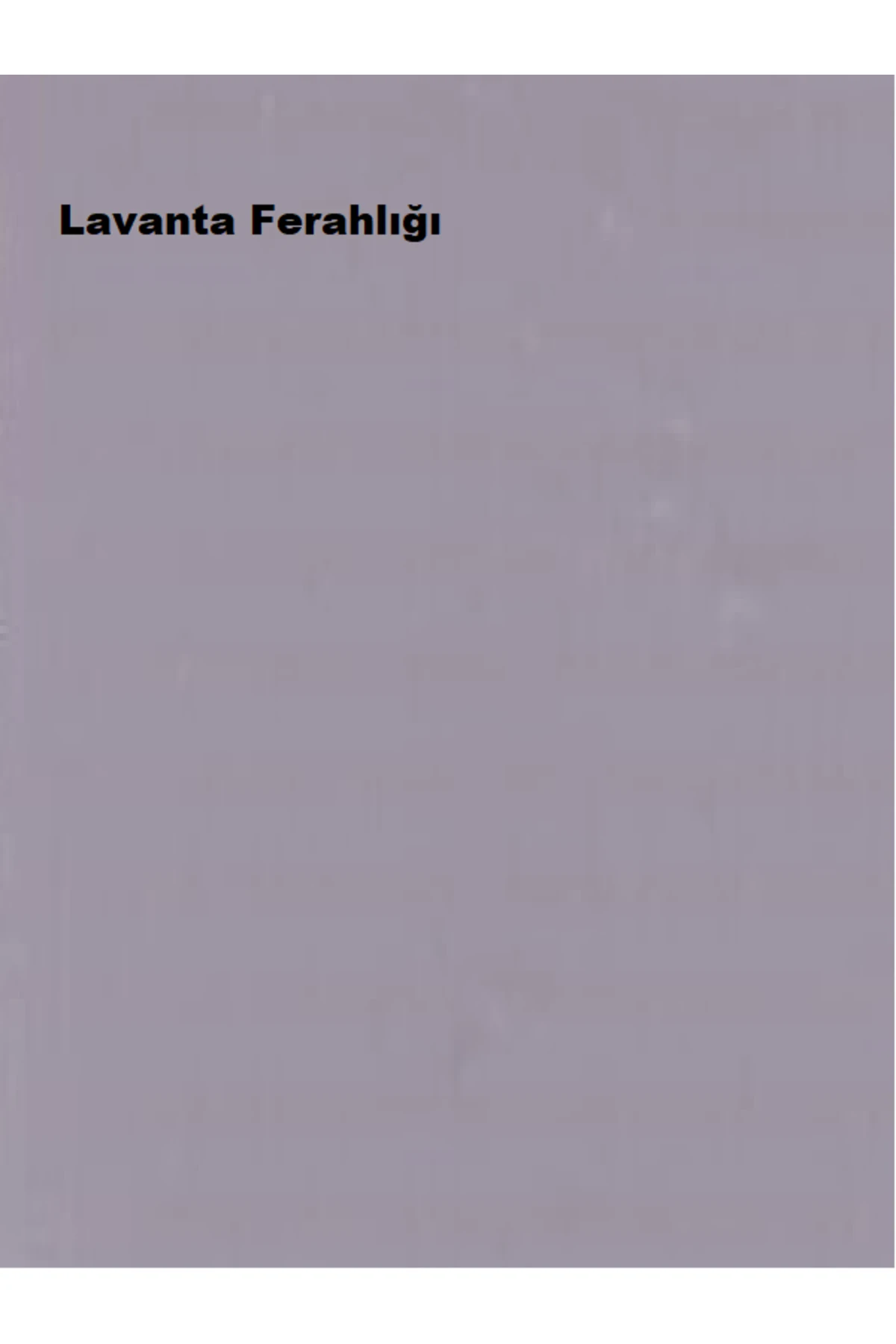 Pastel Yarı Mat Boyası Lavanta Ferahlığı 2,5 Lt (3,5 LT)