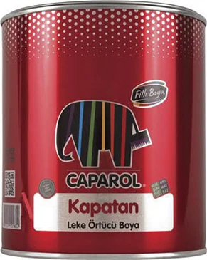 Kapatan Leke Örtücü Boya