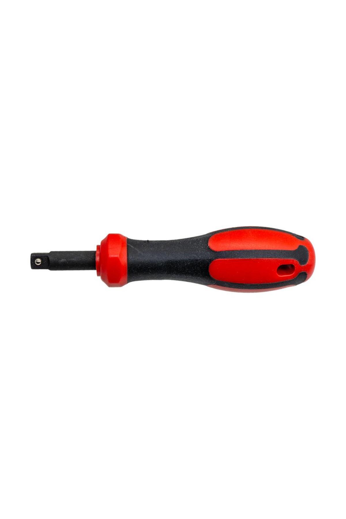 CETA FORM C01-20S 1/4" Lokma Tornavida 2.5 cm