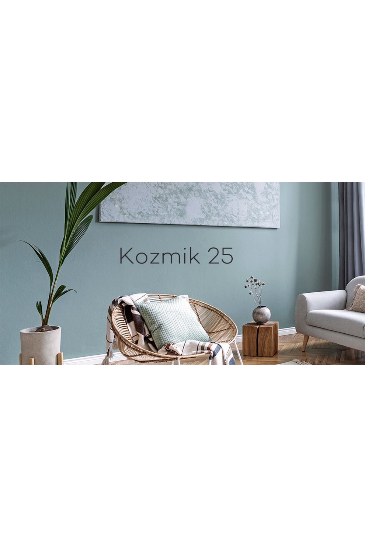 Momento Silan Silinebilir Ipeksi Mat Içcephe Duvar Boyası 1.25ltkozmik25