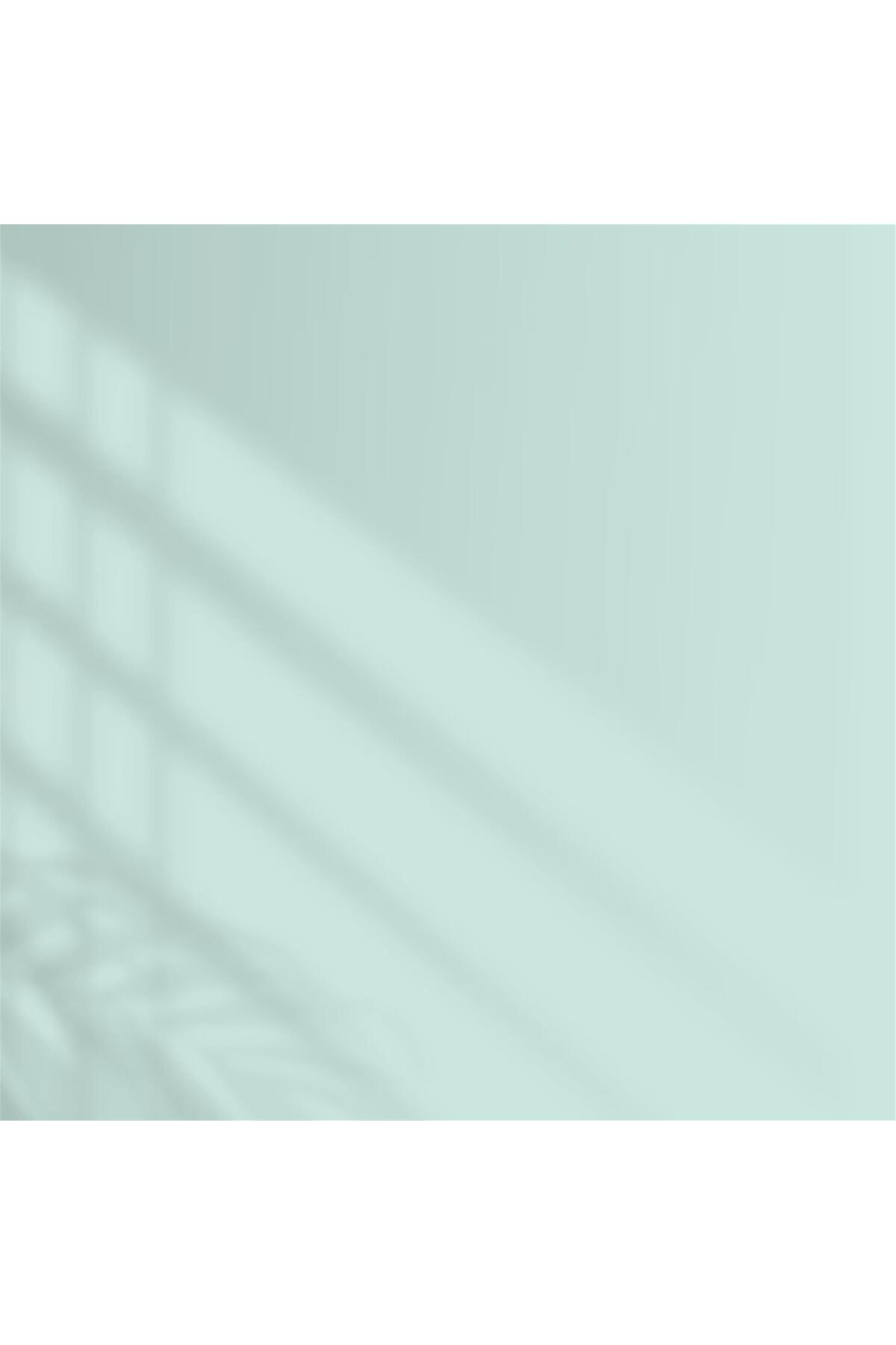 4373 - Nil Yeşili - Ci-7392 2,5 Litre Perla Mat Silikonlu Iç Cephe Boyası (28800011000)