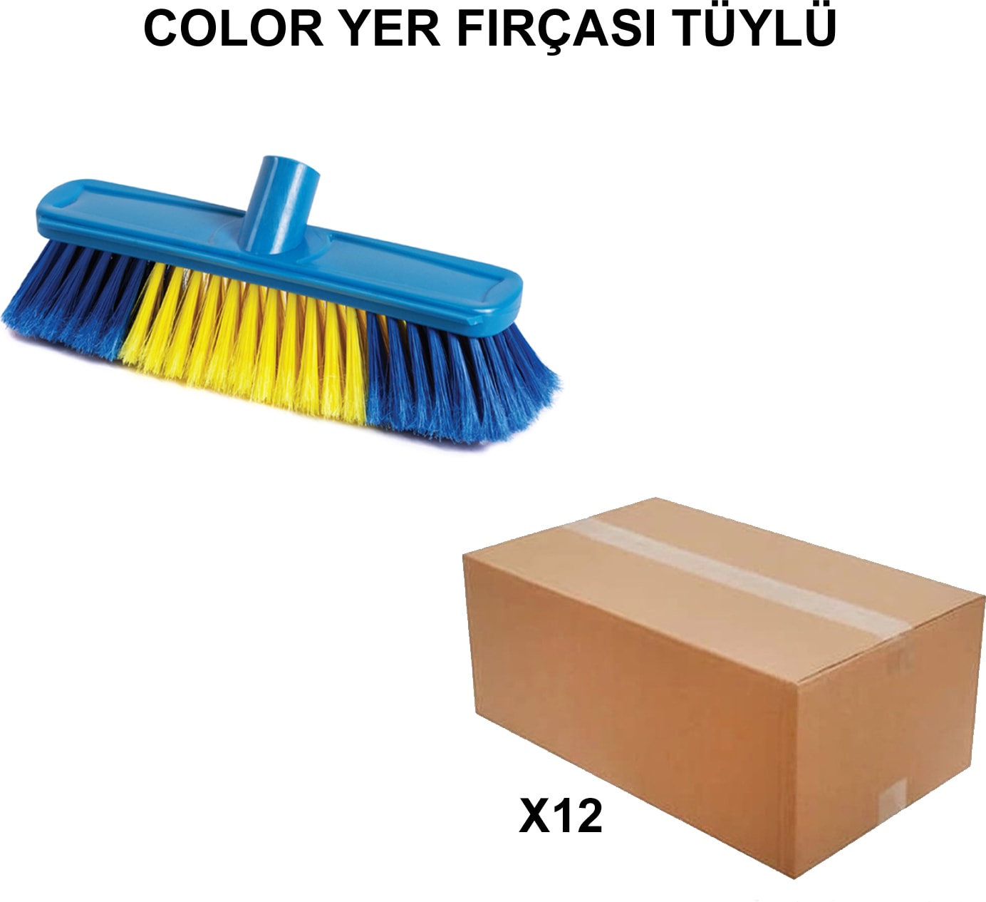 İZMİR FIRÇA Ege ArgeToptan Color Yer Fırçası Tüylü - 12 Adet 001312