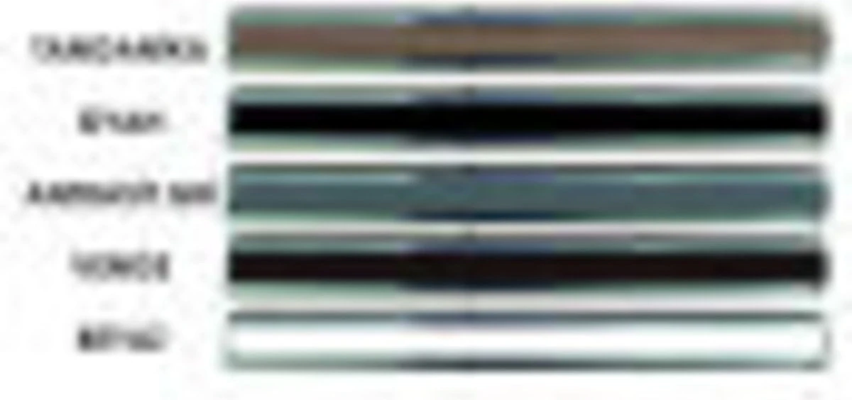 80 cm Ayarlanabilir Çelik Kapı Kolu, Tanganika Renk, Dayanıklı ve Şık Tasarım