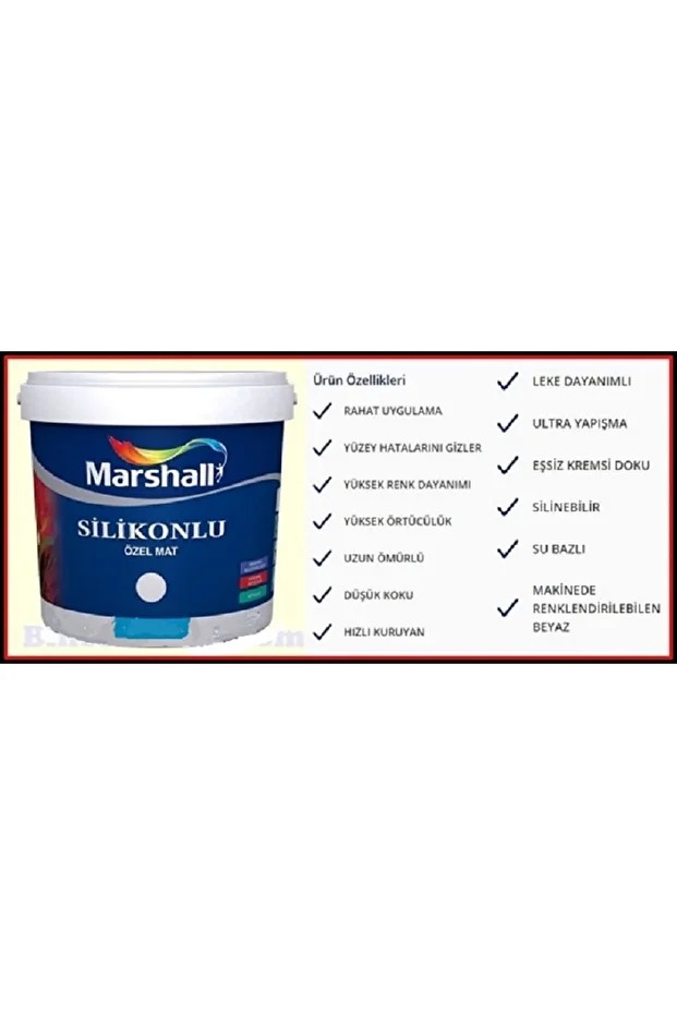 Vanilya Çiçeği Silikonlu Özel Mat Duvar Boyası 1Lt