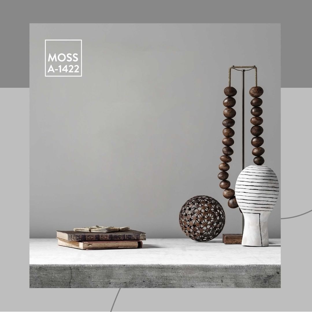 Paint Moss Soft Matt Tam Silinebilir Iç Cephe Boyası 13,5 Litre
