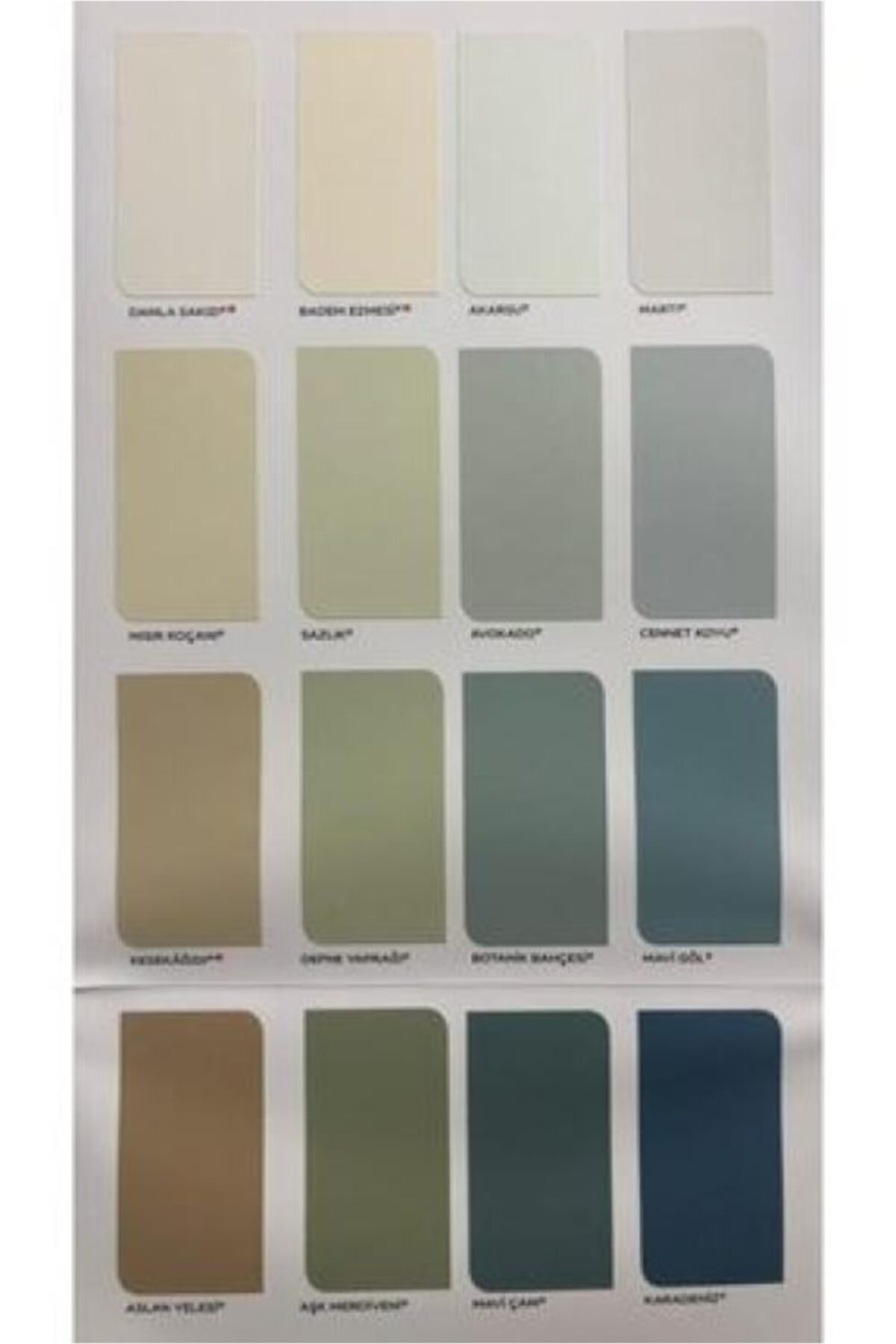 Silikonlu Özel Mat Iç Cephe Duvar Boyası Botanik Bahçesi 2,5 Lt