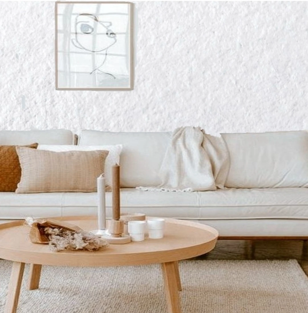 Izojel Organik Ipek Sıva - Dekoratif Yalıtım Sıvası - Ses & Isı & Nem Yalıtımı - IZO-001 BEYAZ