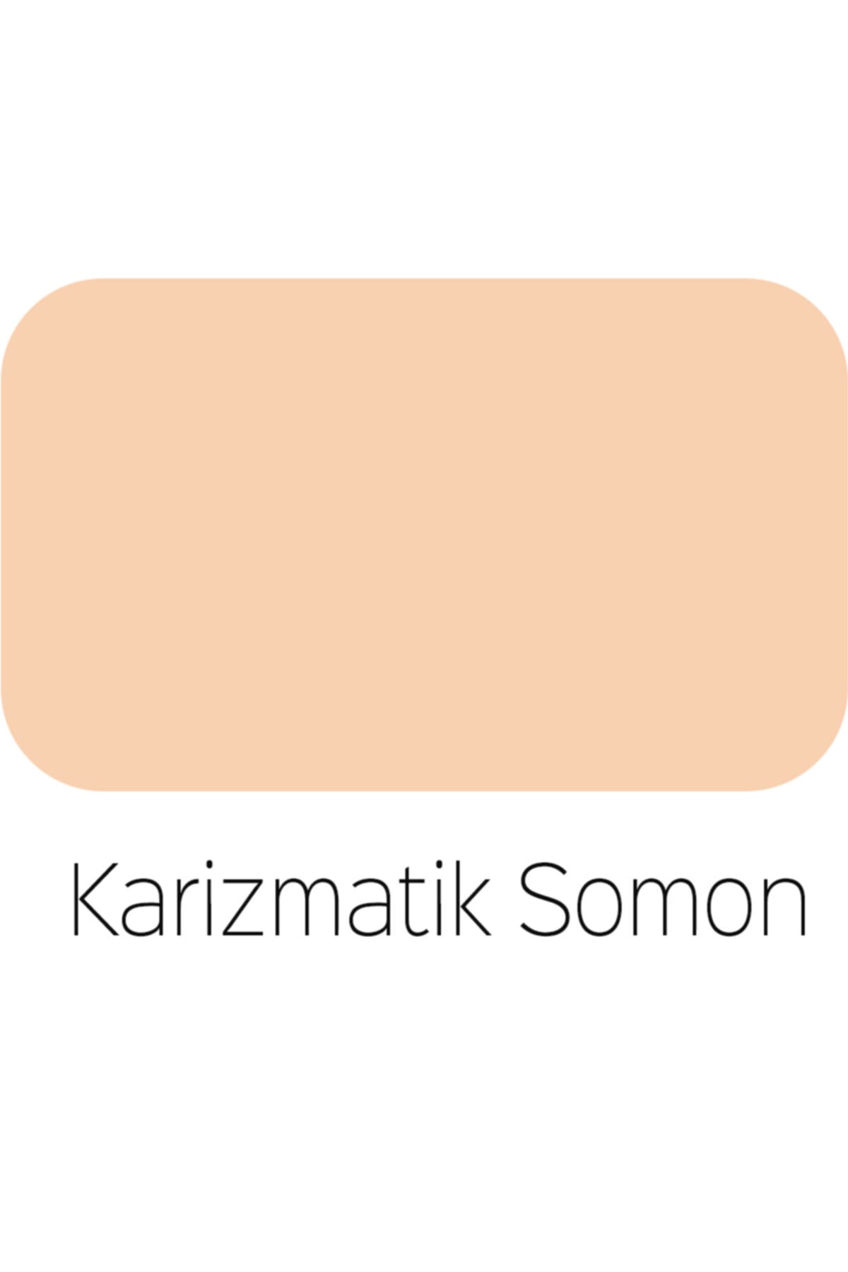 POLİSAN Primera Silikonlu Mat Iç Cephe Boyası - 4248-karizmatik Somon Ci-7131
