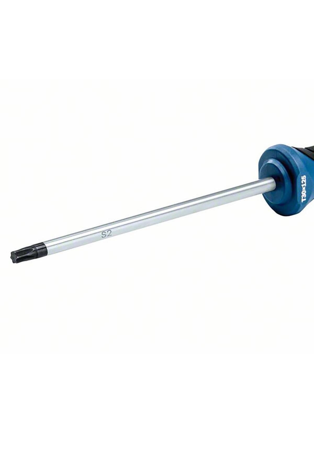 Profesyonel Torx Tornavida TX30x125 mm 1600A01V0E