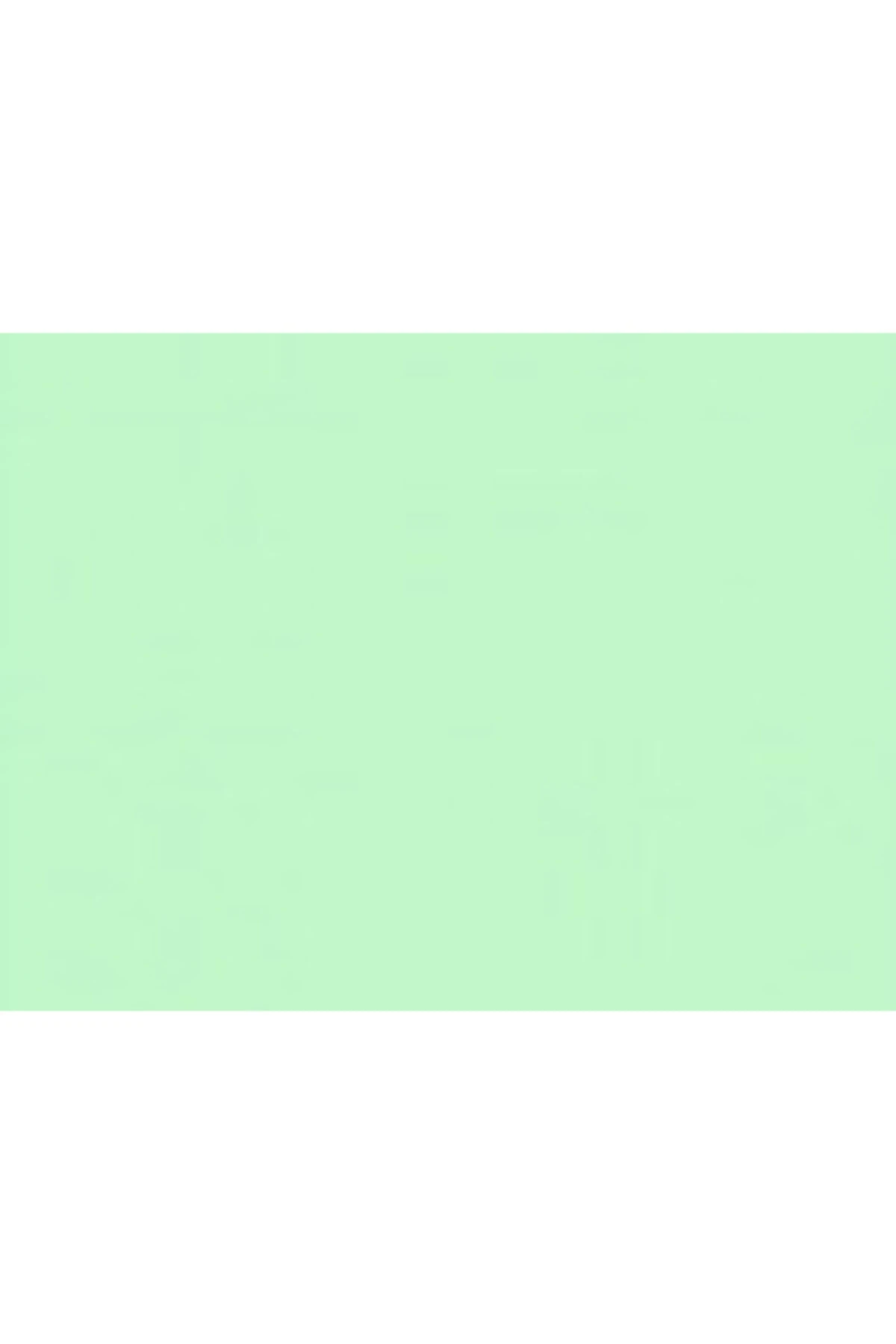 Yeşil Renk Silikonlu Özel Mat Boya 2.5lt Mentol