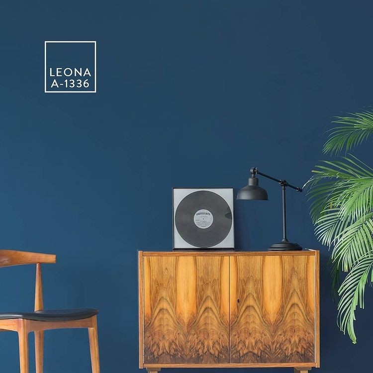 Paint Leona Ipeksi Mat Tam Silinebilir Iç Cephe Boyası 13,5 Litre