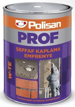 Polisan Şeffaf Kaplama Emprenye (PROF W-TE) 5 lt