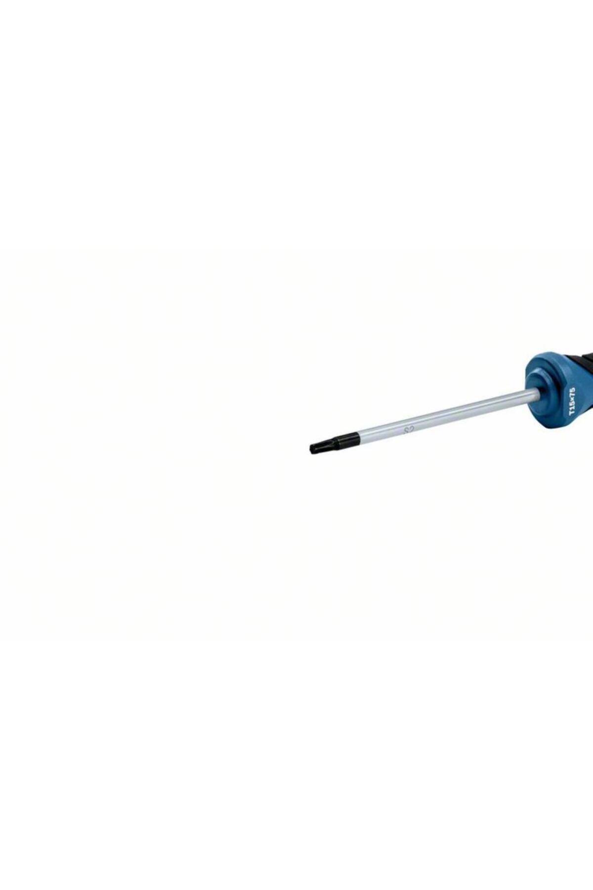 Professional Torx Tornavida Tx15 X 75 Mm - 1600a01v0b