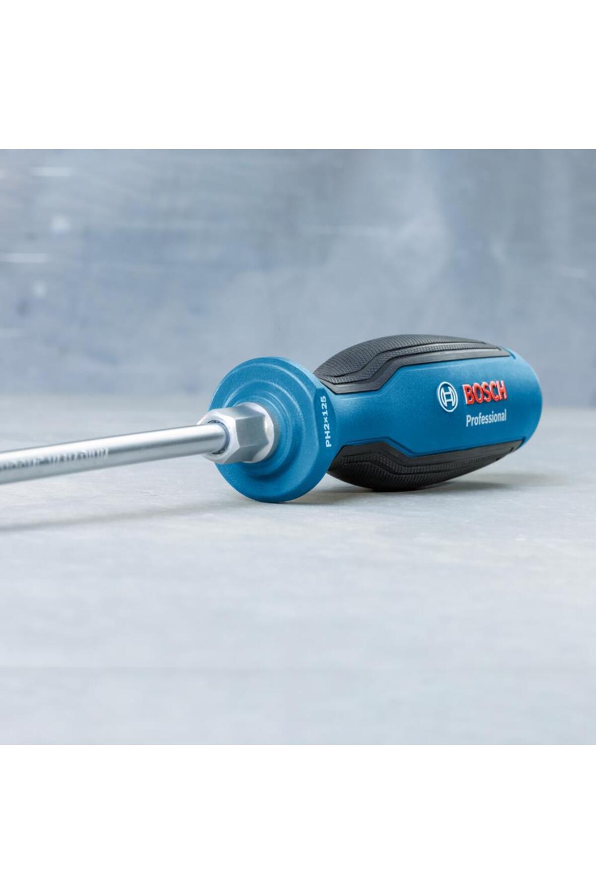 Profesyonel Tornavida SL5.5x100 mm 1600A01TG0