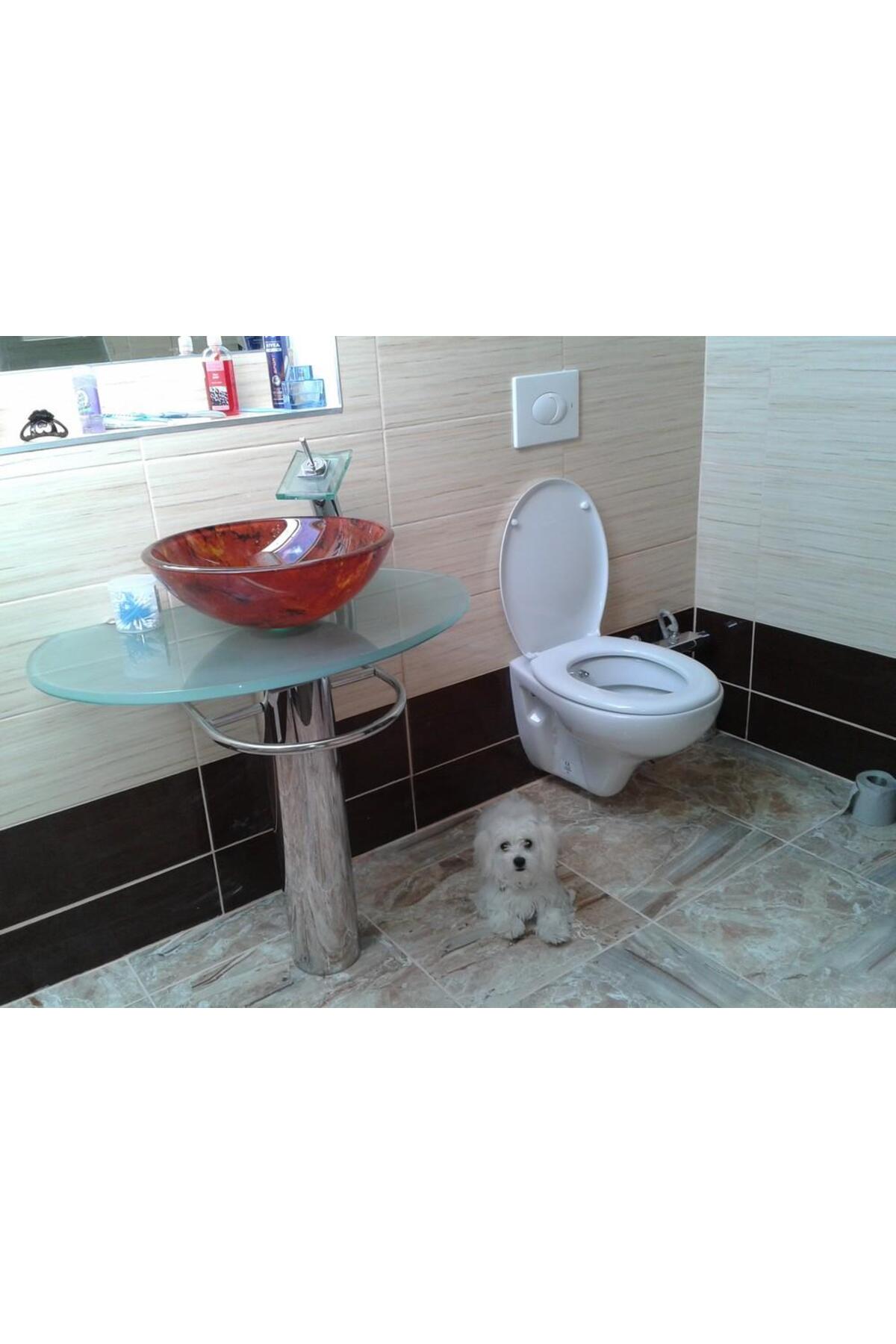 TP320 Asma Klozet KAPAKSIZ ÇEVRE YIKAMALI