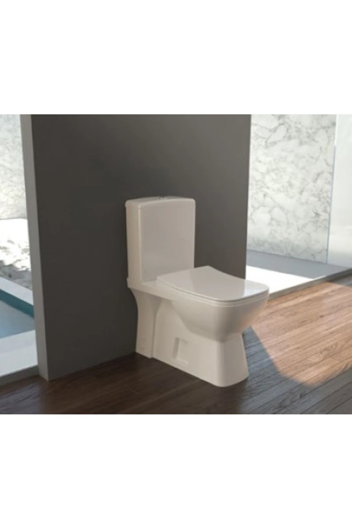 BTW Rimless Klozet, Duru (Arkadan Çıkışlı)