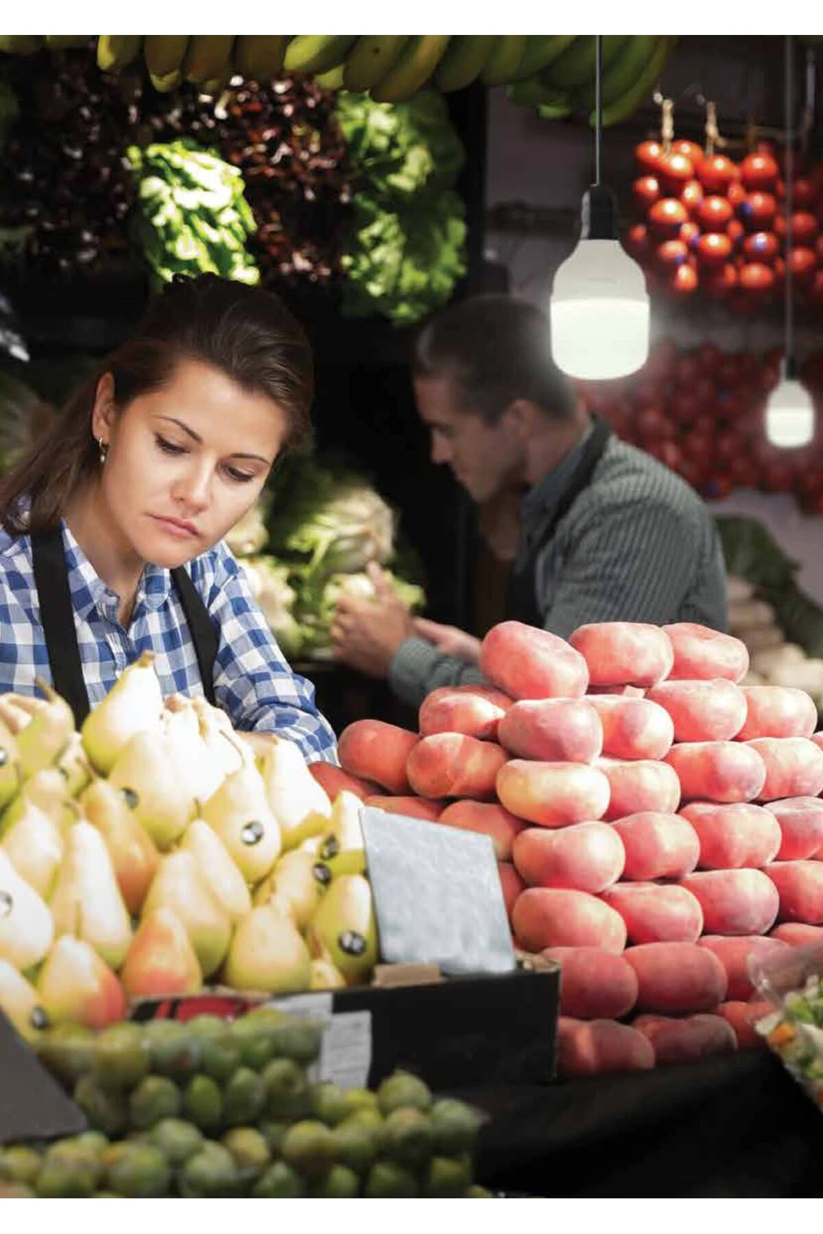35W SARI IŞIK 3000K TORCH LED AMPÜL 20CM BOYUTU YÜKSEK AYDINLIK