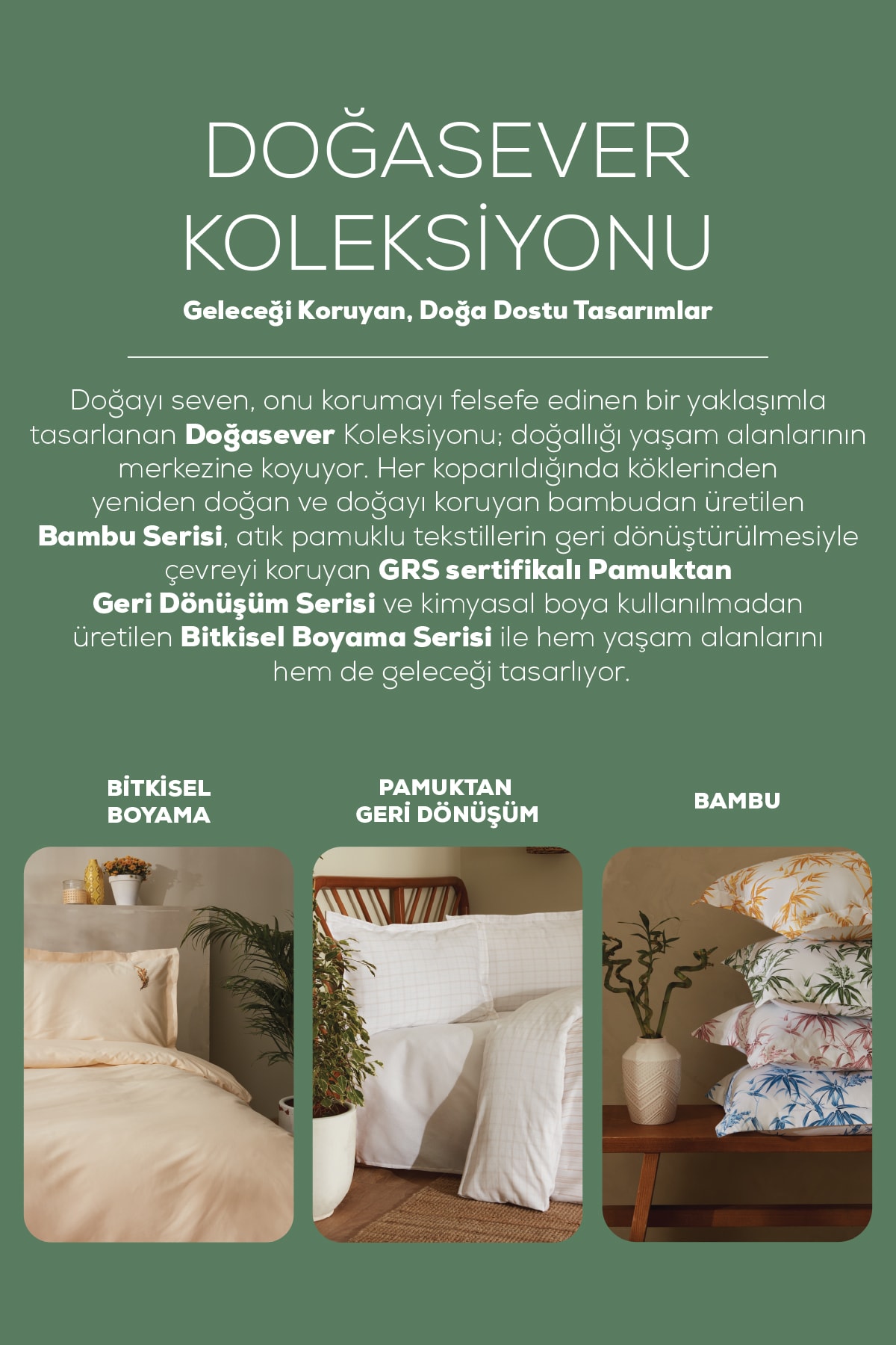 Doğasever Mimosa Doğadan Renkler Tek Kişilik Nevresim Takımı Sarı