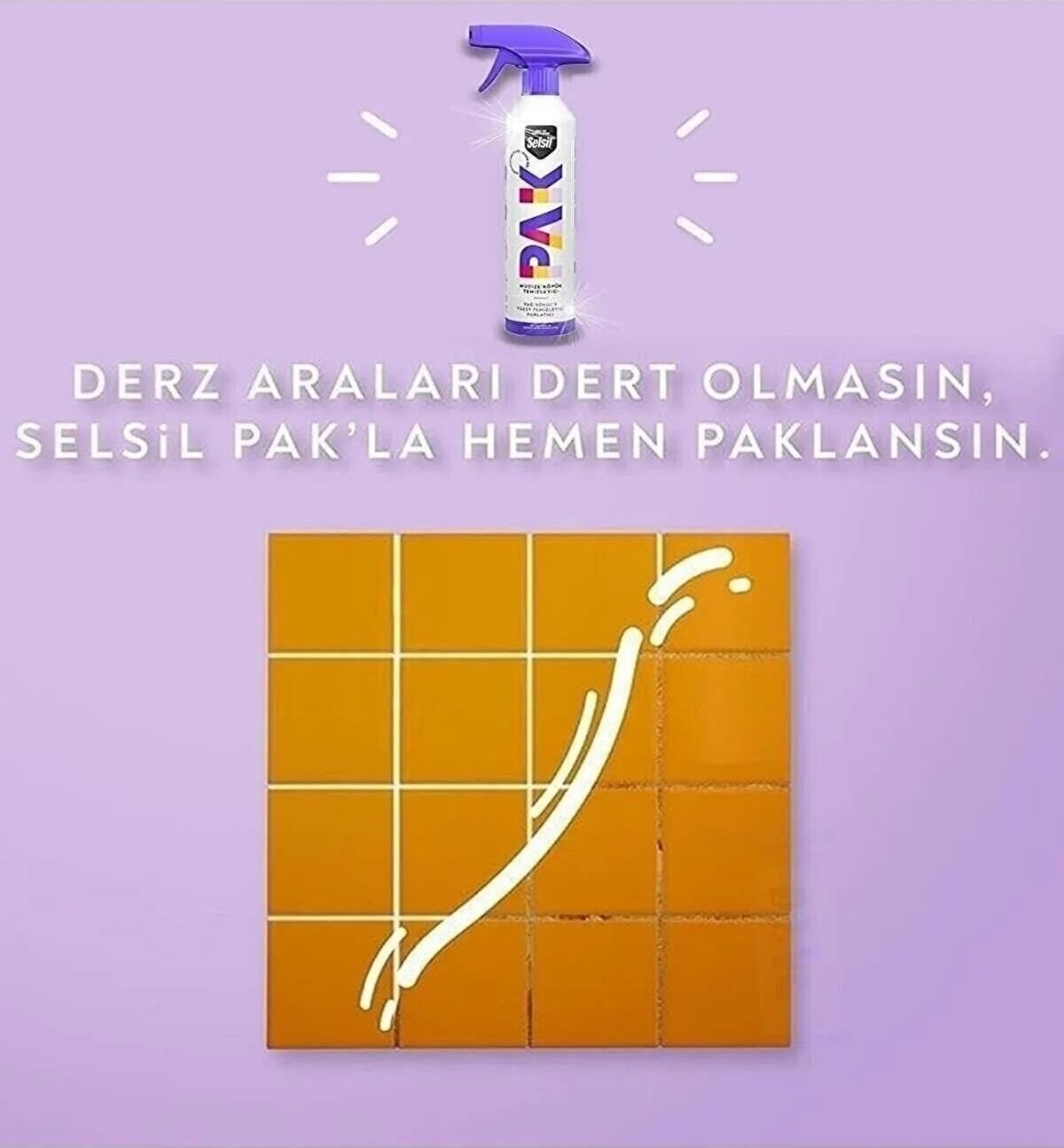 Pak Mucize Temizleyici Sprey 500 Ml.