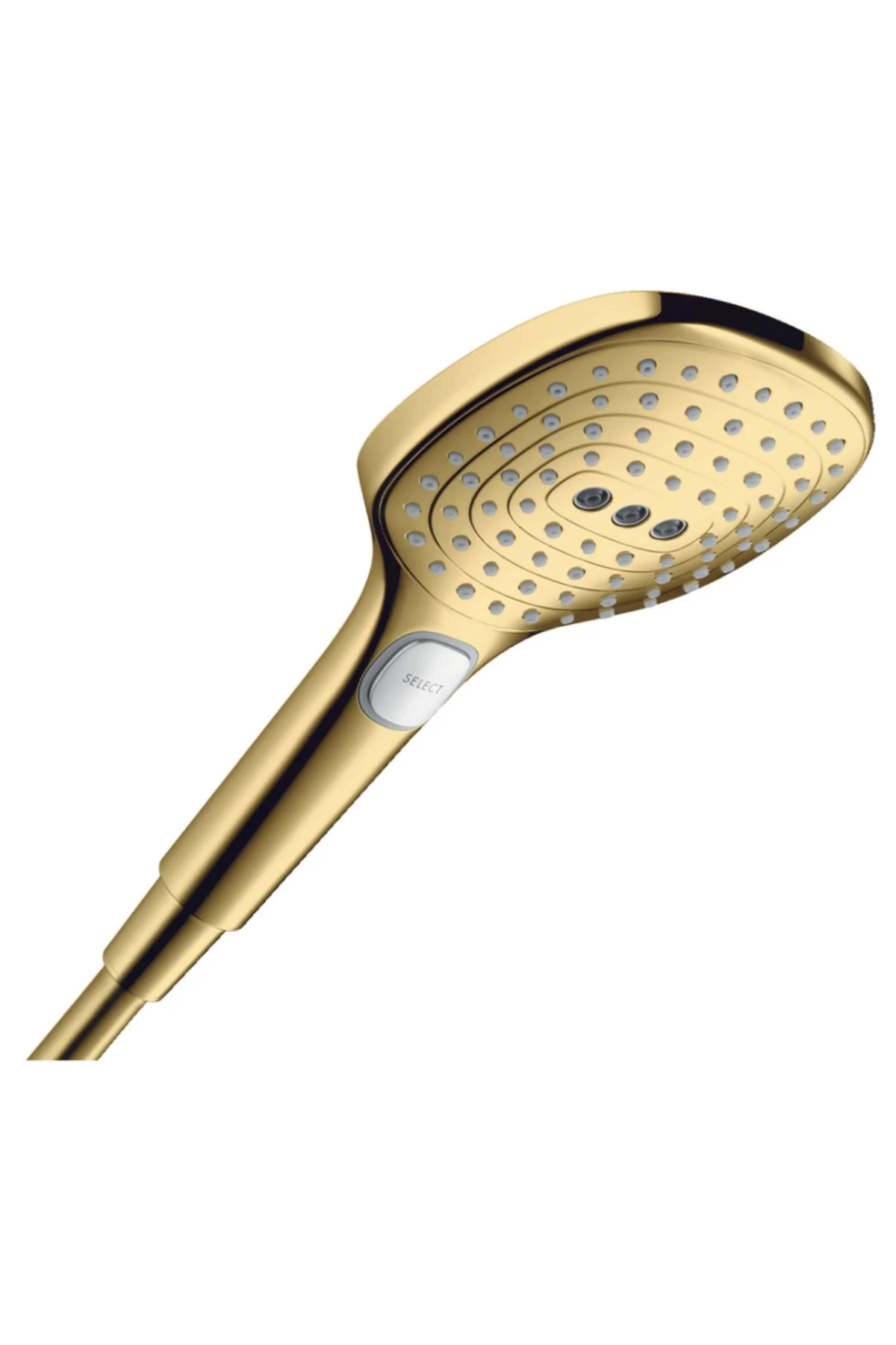 Raindance Select E 120 3 Jet Parlak Altın - Optik El Duşu
