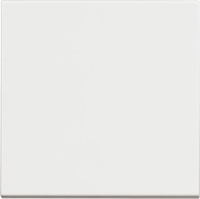 RW4005M2 Classic Lıht Butonu 10A 250V Vida Bağlantı 2 Modül Beyaz