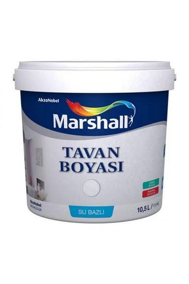 Beyaz Tavan Boyası