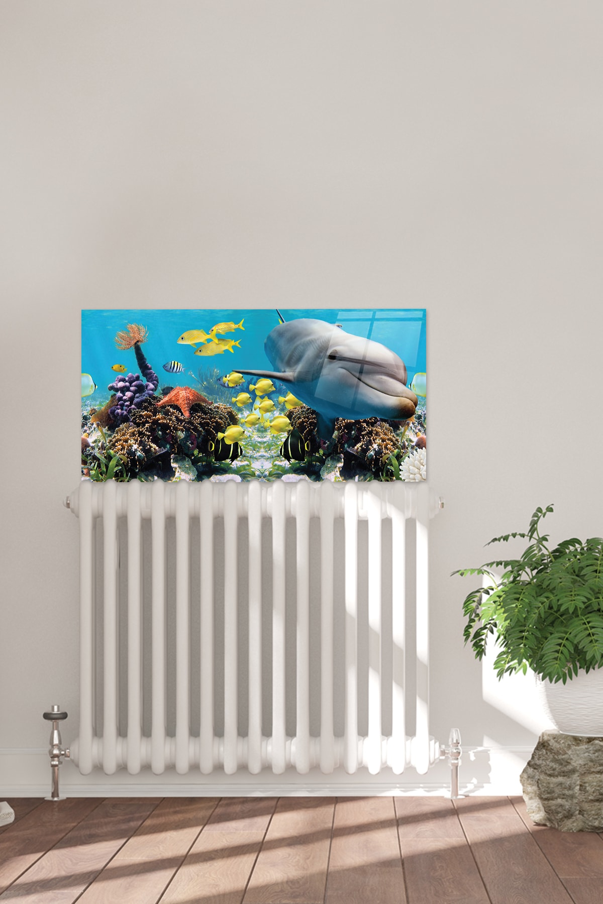Petek Üstü Cam | Yunuslu Akvaryum | 40cm X 80cm