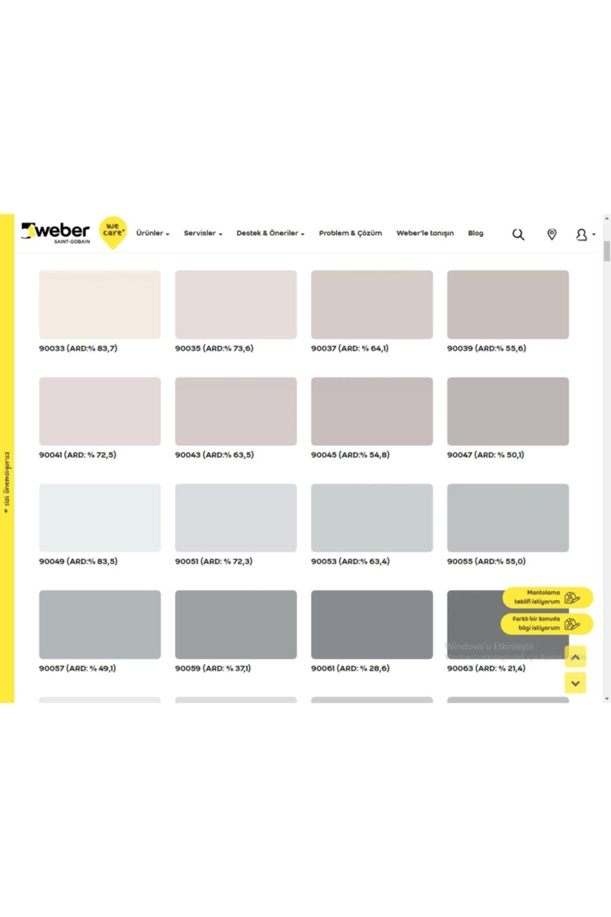 Dış Cephe Silikonlu Boya