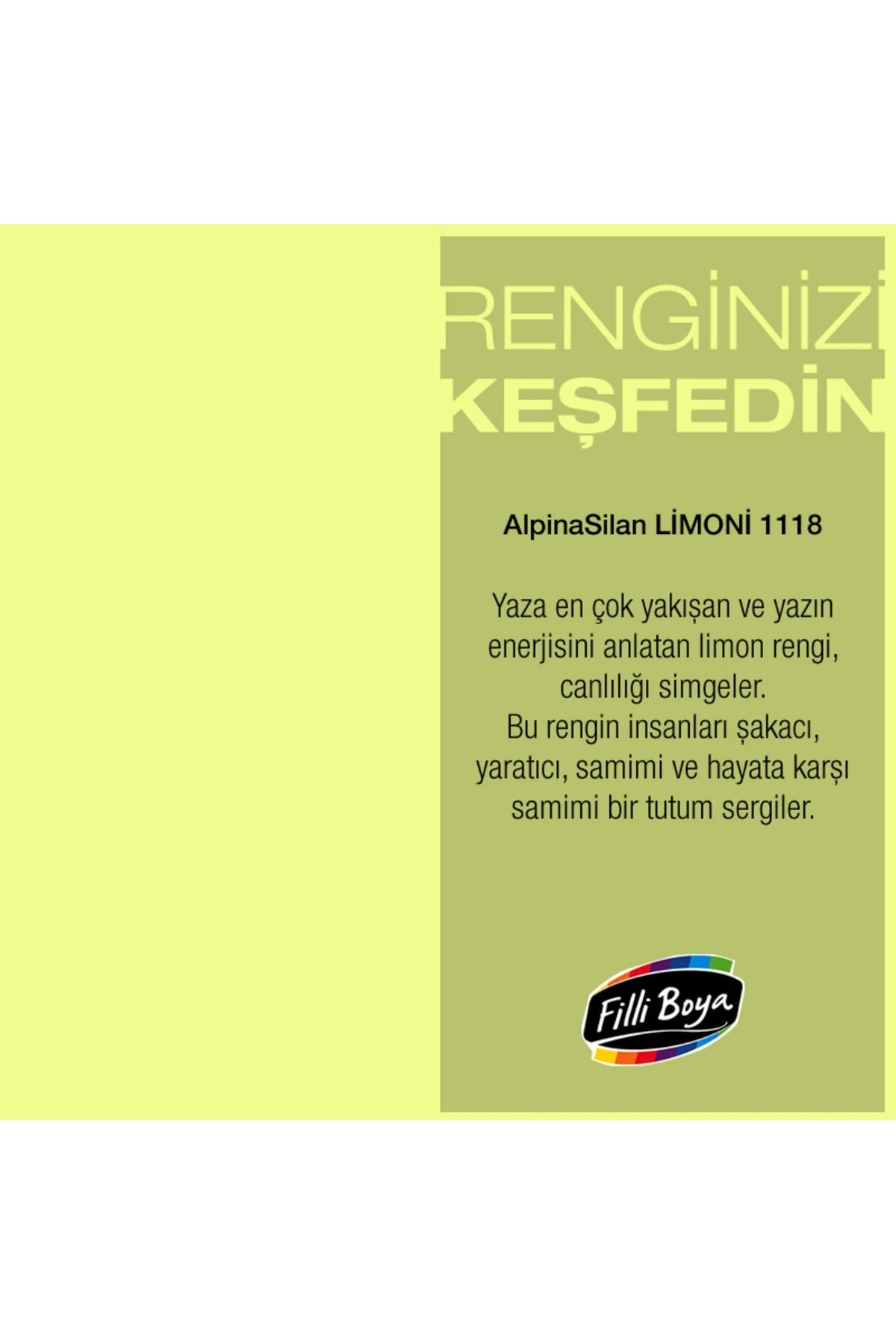 Filli Momento Silan Silinebilir Ipeksi Mat Içcephe Duvar Boyası 1.25ltlimoni