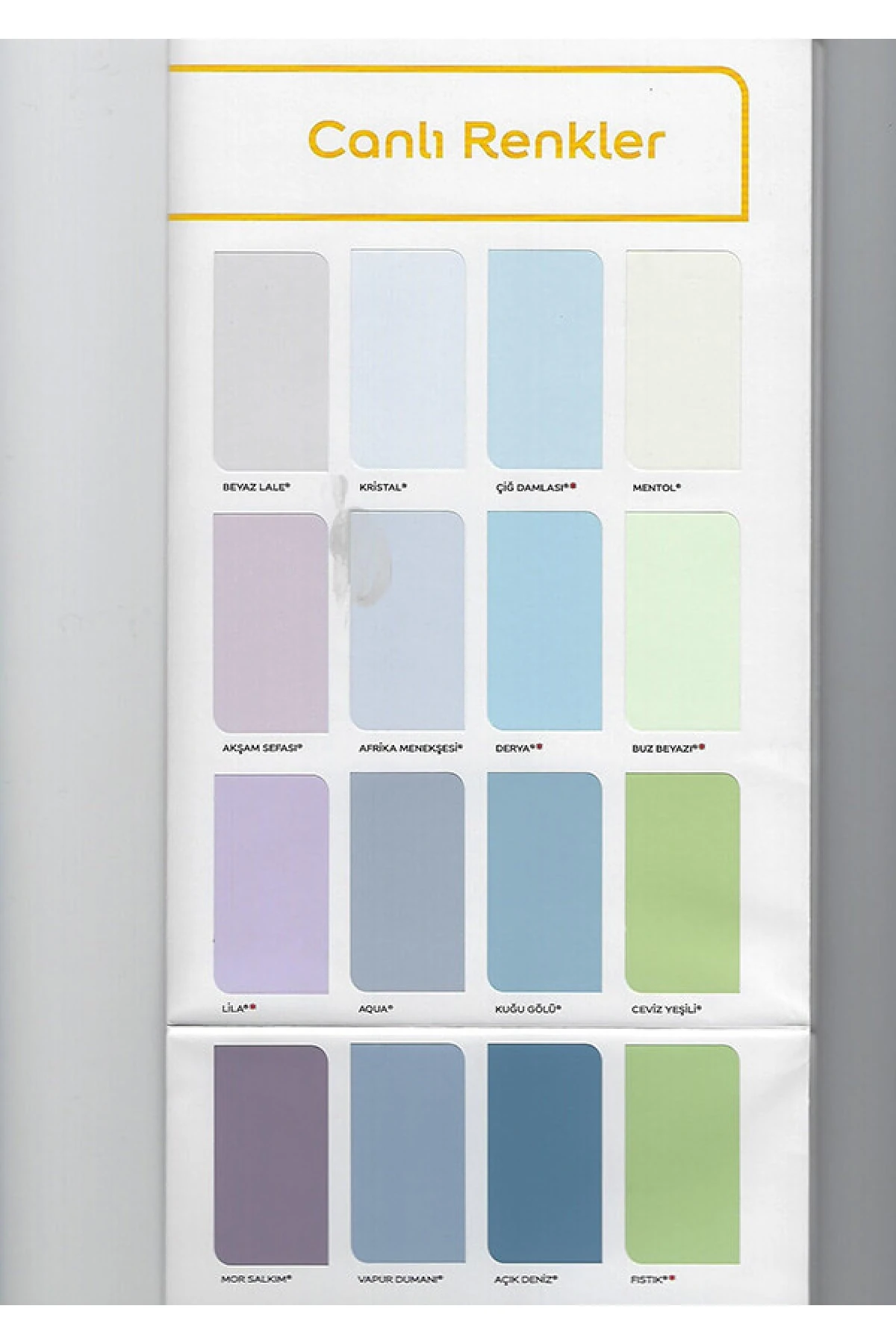 Silikonlu Mat Duvar Boyası 2,5 L Meteor