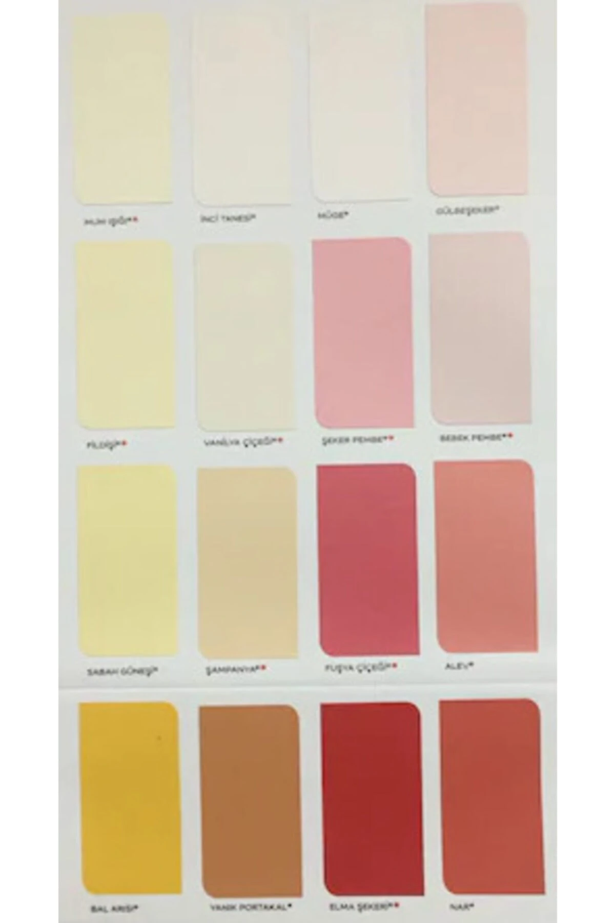 Silikonlu Özel Mat 1 Lt (makinada Renklendirilir)