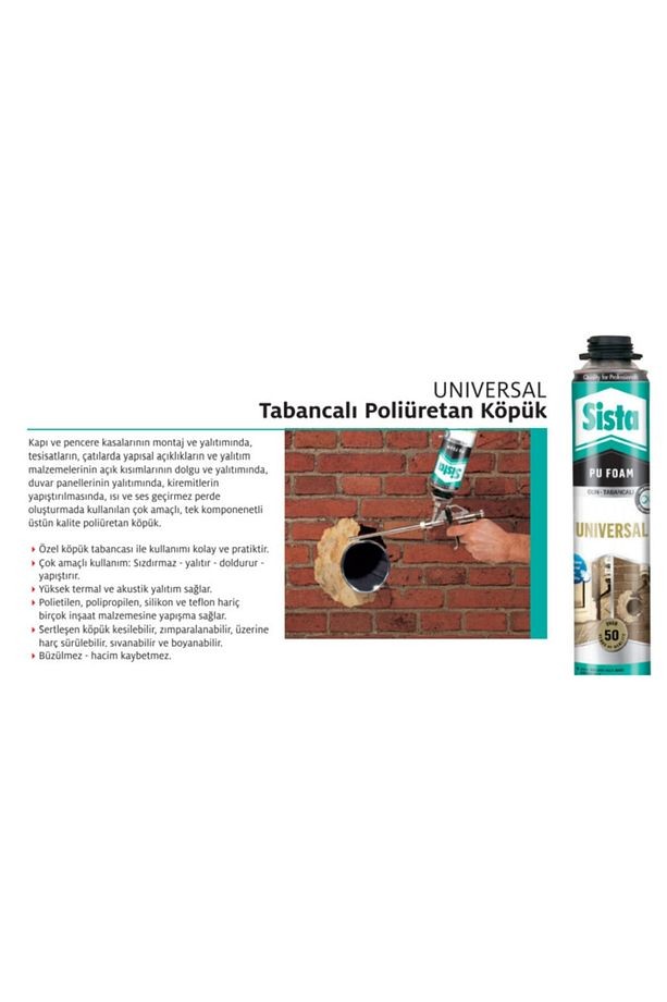 Universal Poliüretan Köpük 750 ml