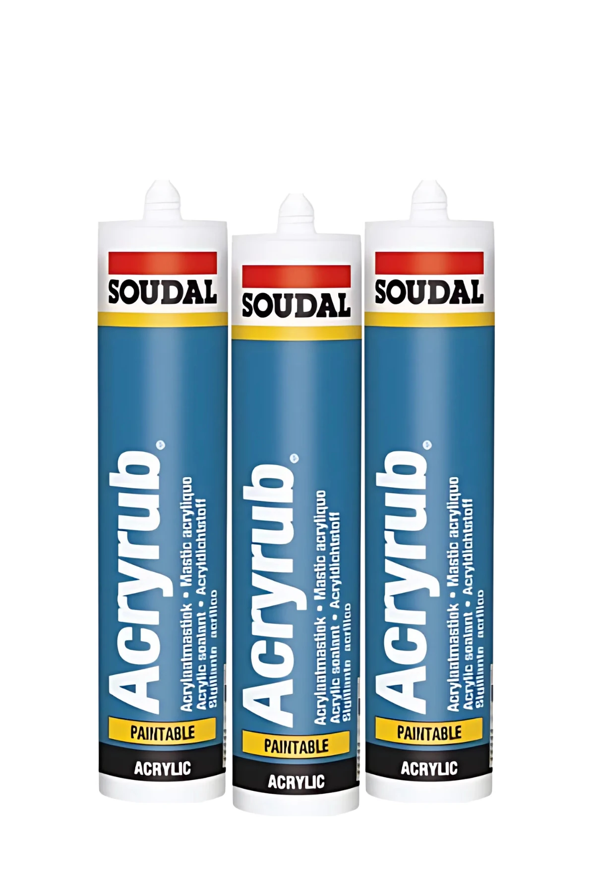 Acryhub Silikonize Mastik 500Gr Beyaz + Yedek Başlık Uç | 1 Adet