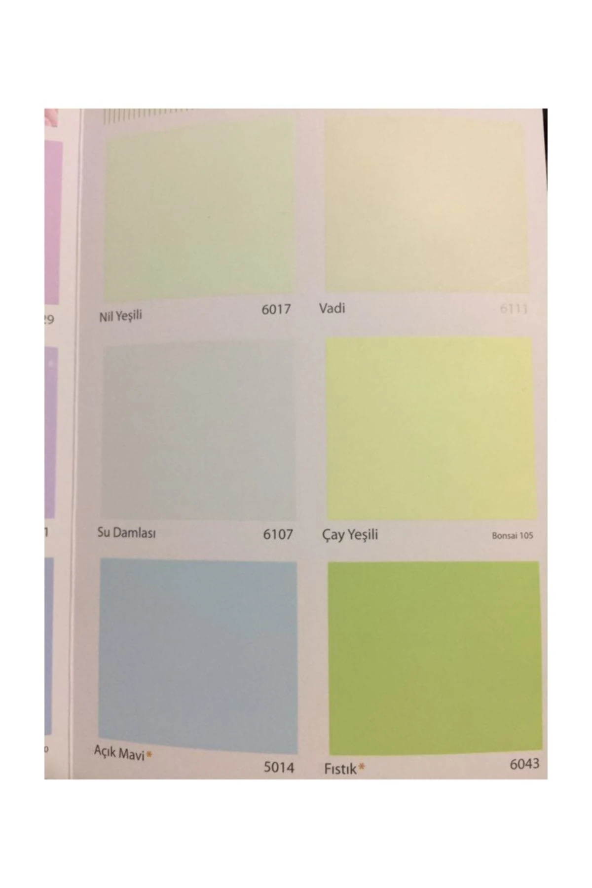 20 Kg Plastik Boya+10 Kg Tavan Extra+Hediye Kadife Çiçeği