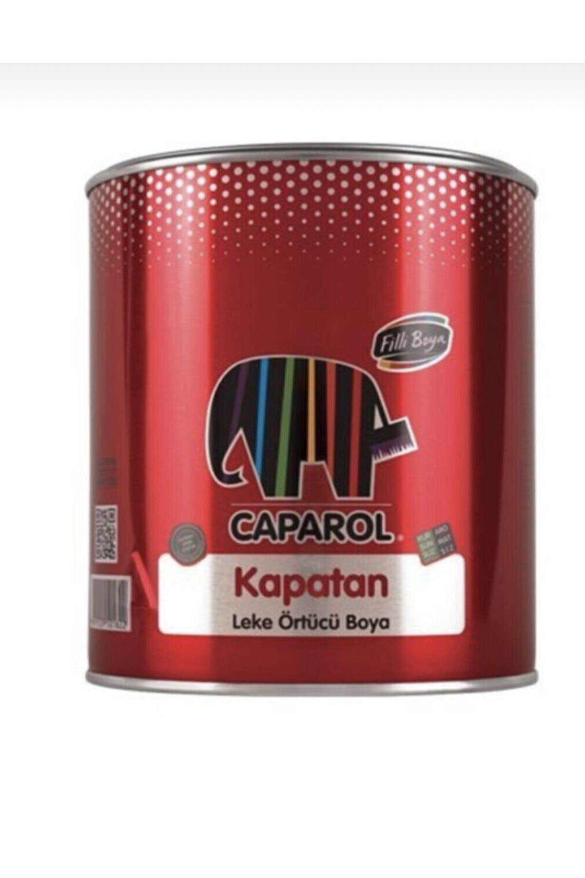 Filli Boya Kapatan Leke Örtücü Boya 0.75 L