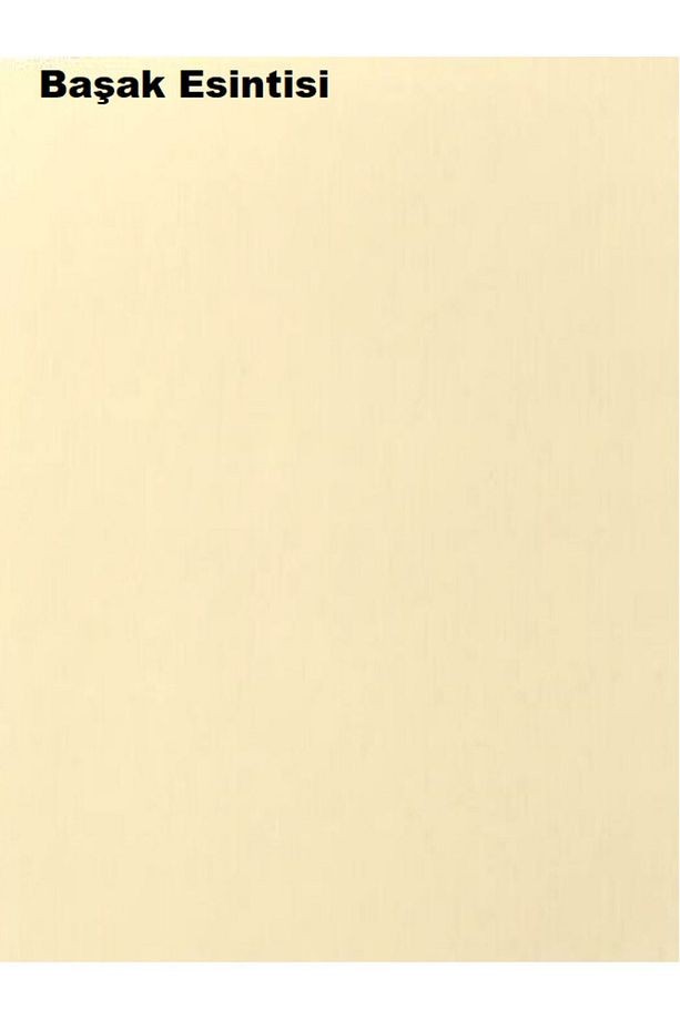 Silikonlu Özel Mat Başak Esintisi 15 Lt (20 KG)
