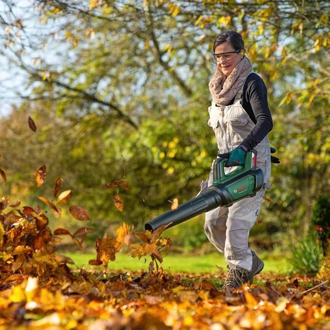BOSCH Aküseti 36V (2AH, Tek Akü + AL36V-20)