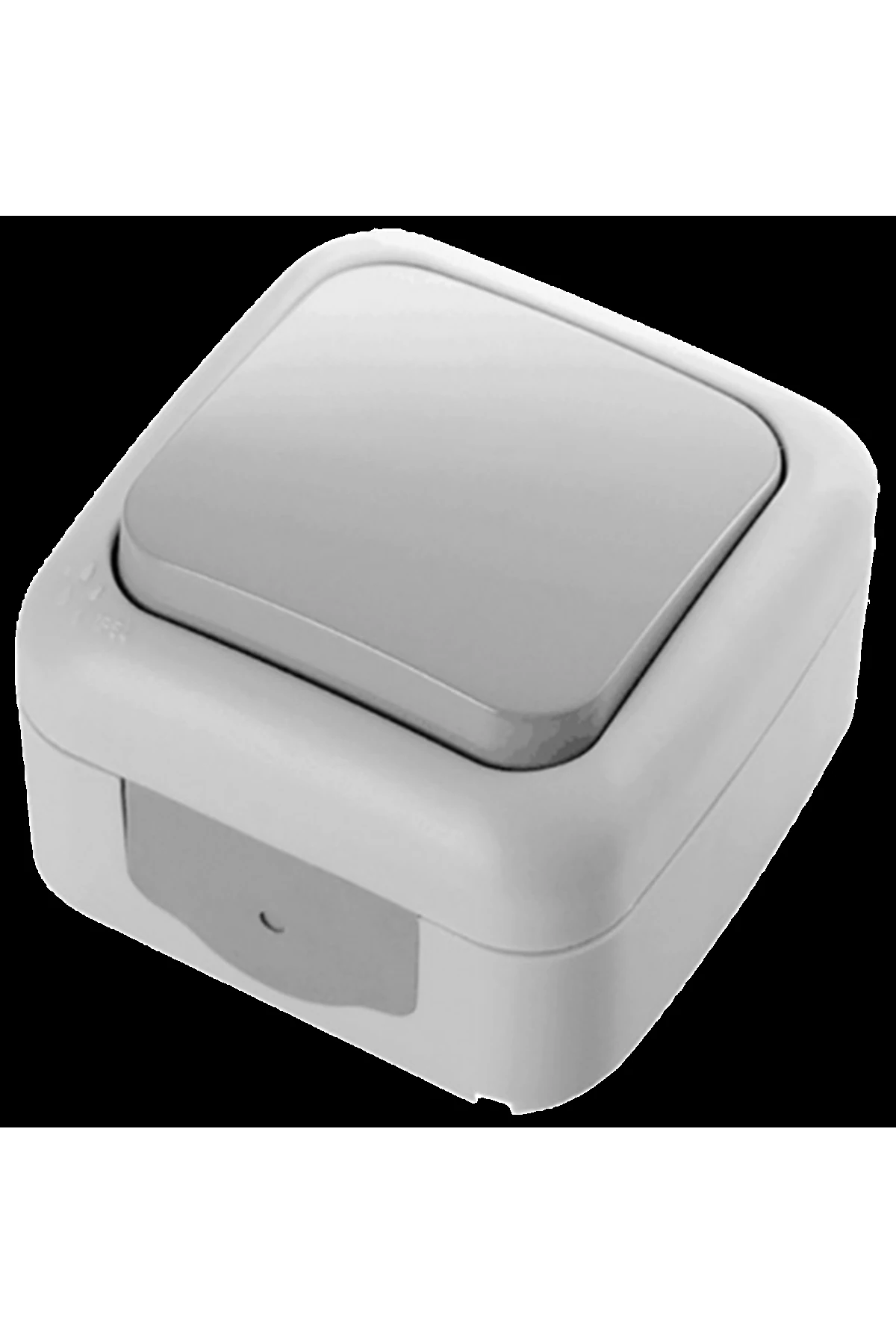 PALMİYE NEMLİYER ANAHTAR