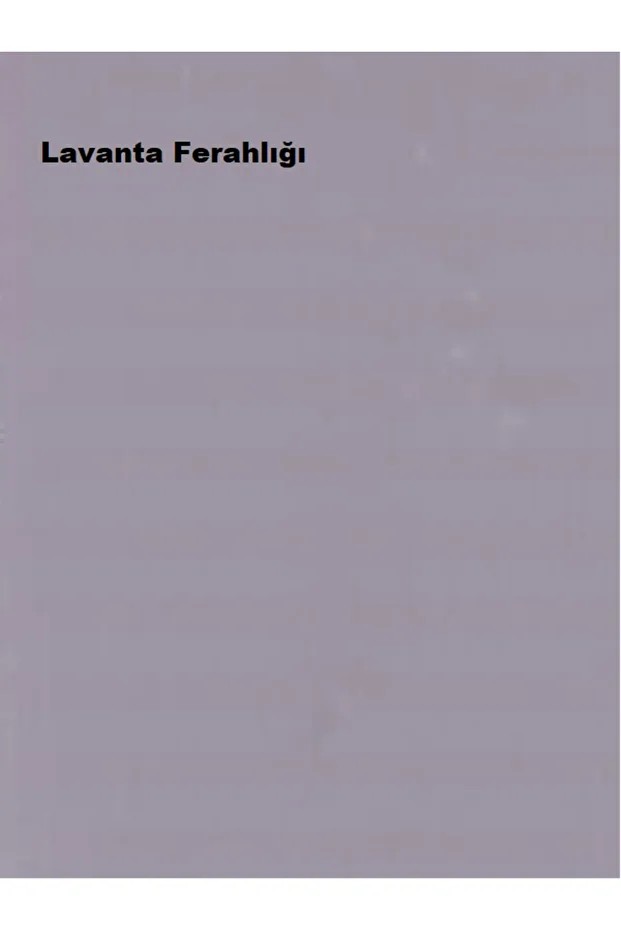 Maximum Mat Lavanta Ferahlığı 15 LT