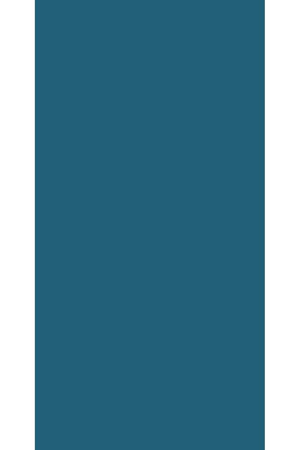 Aqua Pro RAL 5009 Azurblau Metal Boyası 2,25 LT