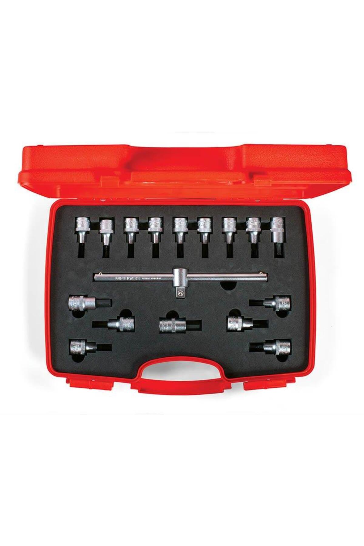 Lokmalı Allen Uç Ve Star Torx Uç Takımı 1/2 Inç 17 Parça