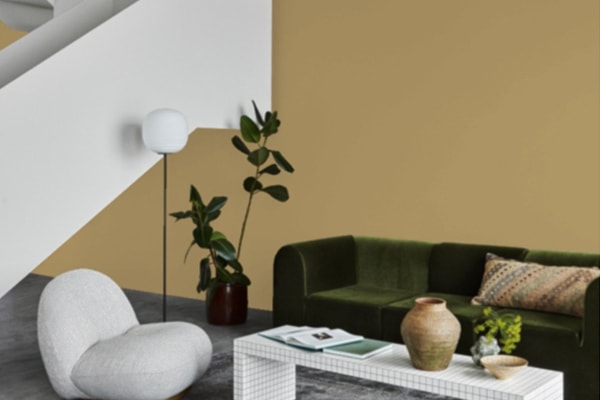 Limon Küfü 0288 Fenomastic Güzel Evim Serisi Zengin Mat 1 LT