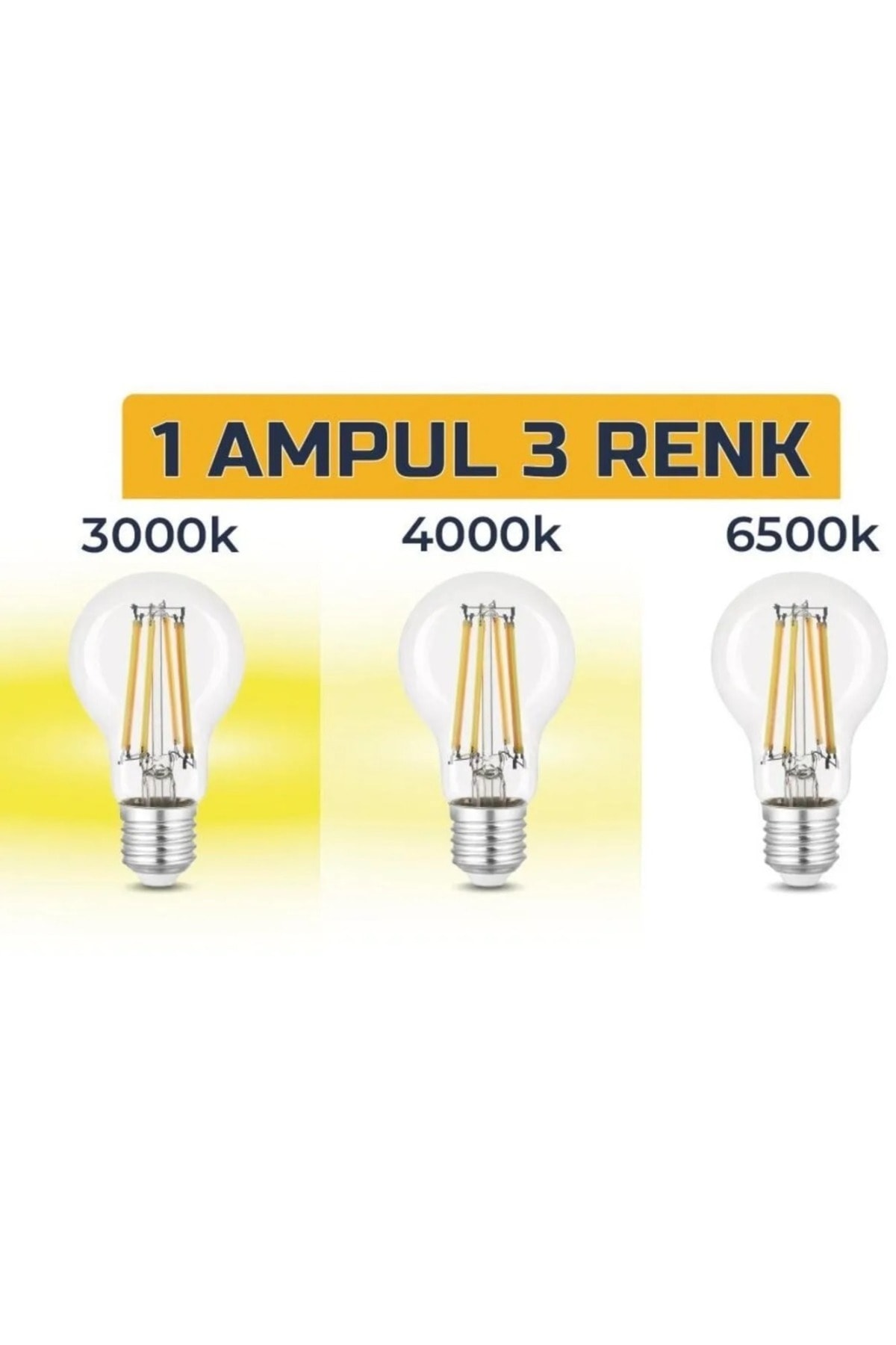 10 Adet 3 Renkli Led Filament Rustik Ampul 6W E27 A60 ERD-261