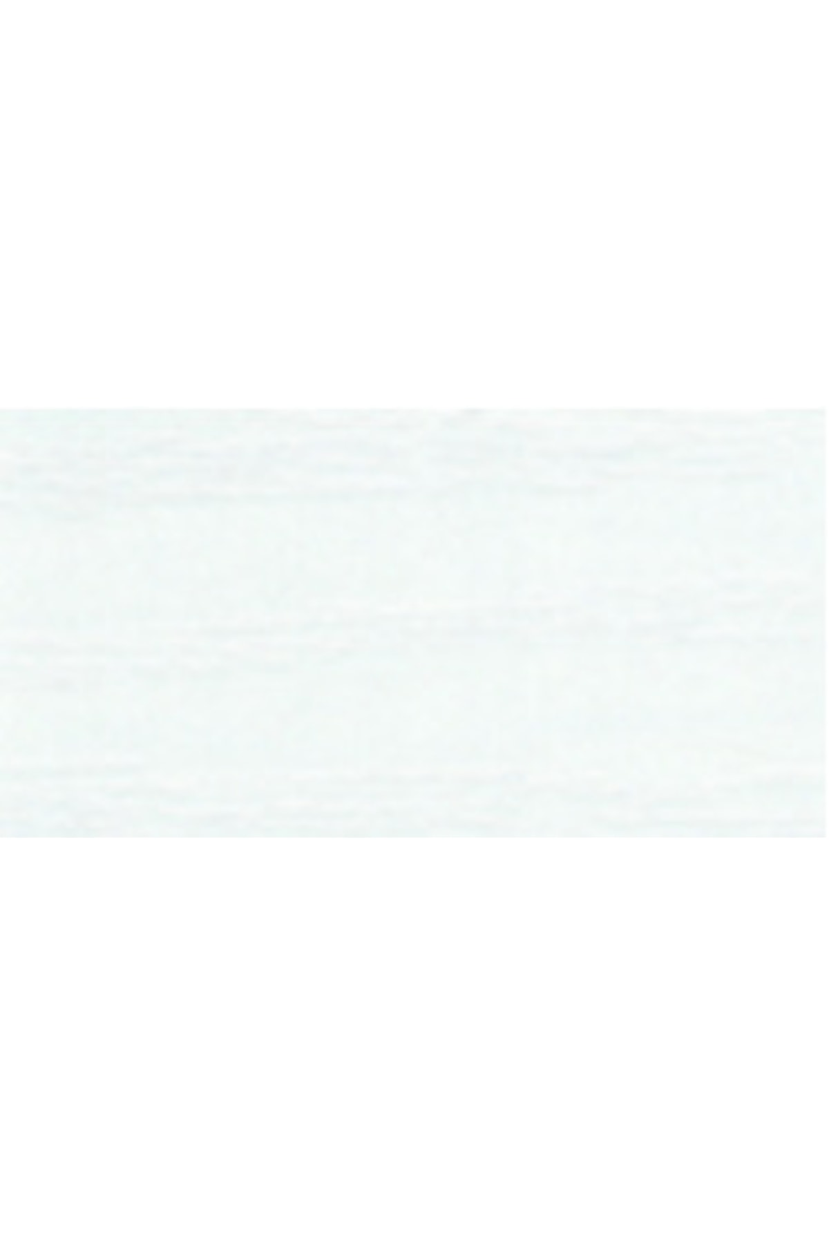 Paınt Strıpper (boya Sökücü)