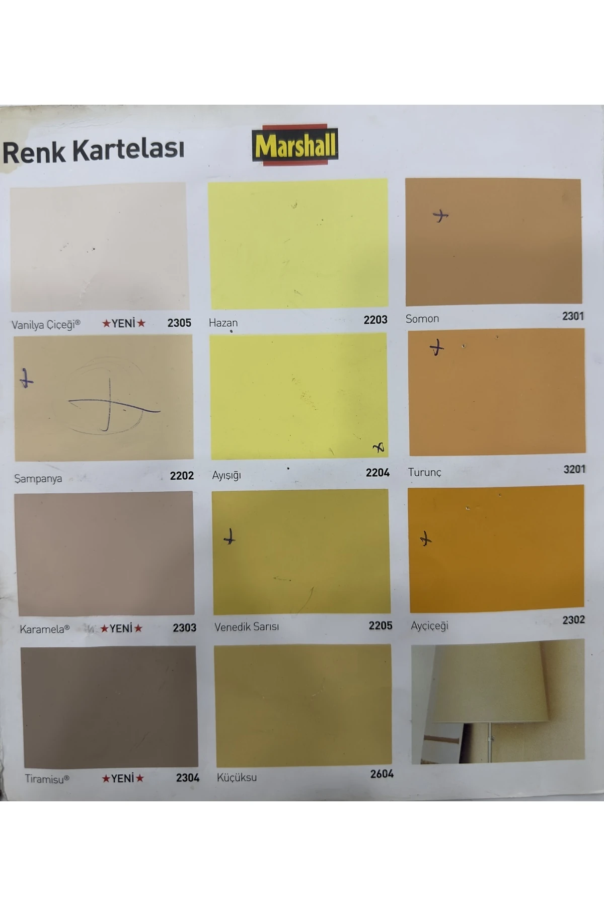 Silikonlu Özel Mat Boya (YABAN GÜLÜ)