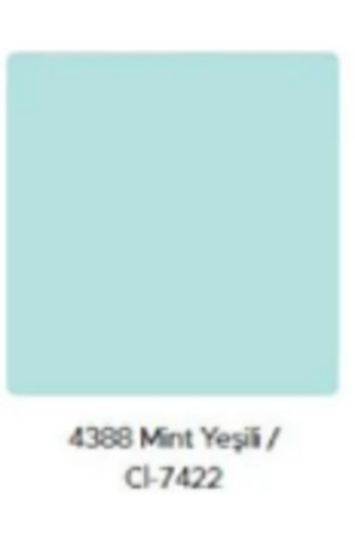 Dekora Plast Ekonomik Fiyatlı İç Cephe Duvar Boyası 3 Kg Mint Yeşili