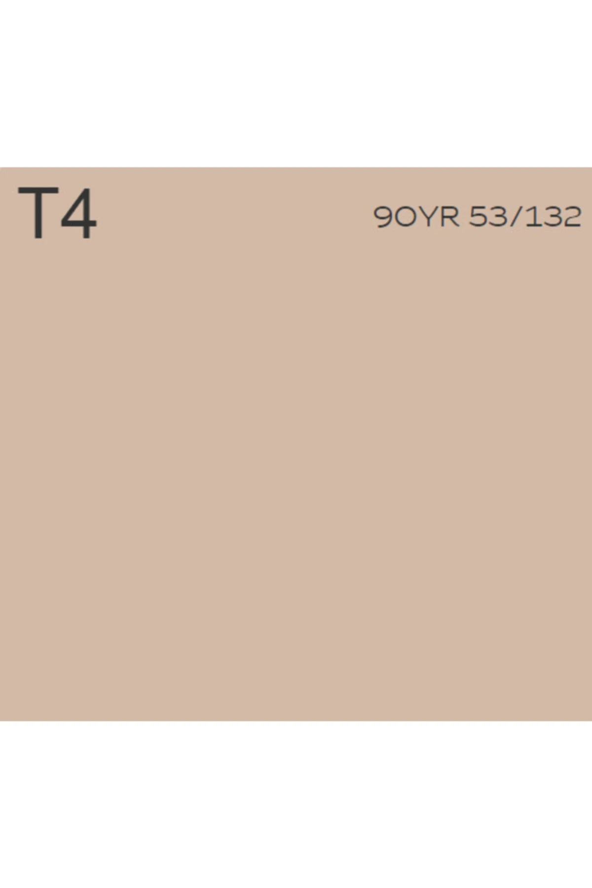 Akrikor Silikonlu Grenli T4 15 Lt (20 KG)