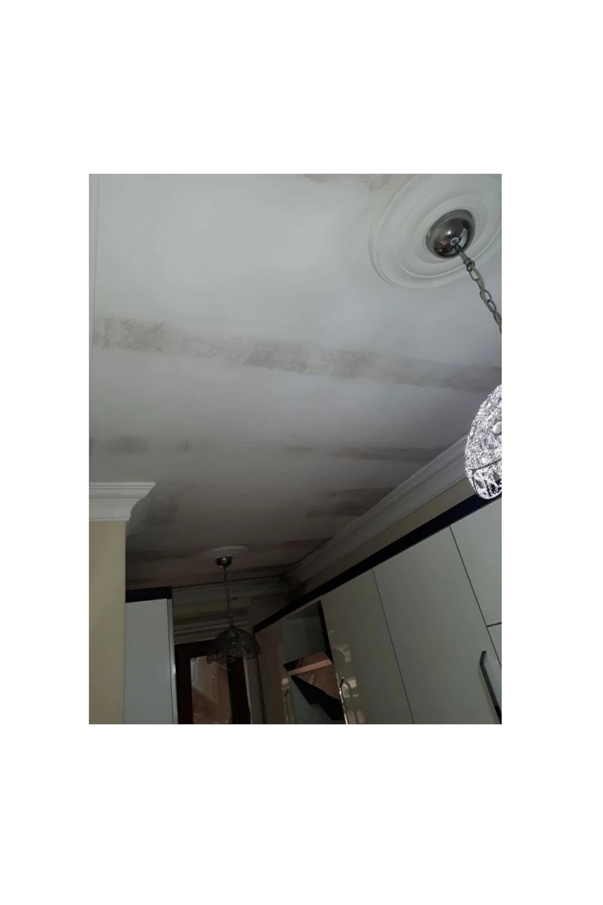 MS82 Rutubetli Yüzey ve Nem Boyası 1 Kg